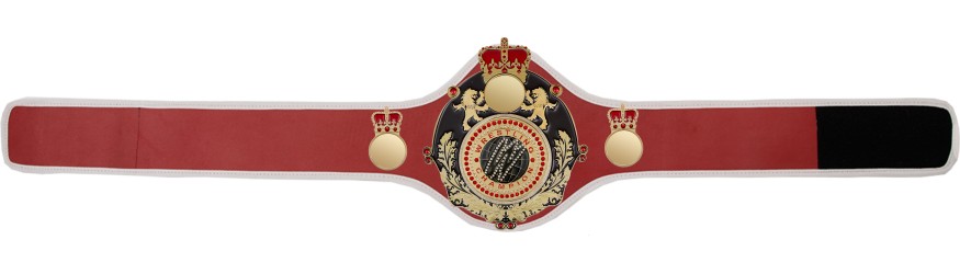 QUEENSBURY PRO LEATHER WRESTLING CHAMPIONSHIP BELT - QUEEN/B/G/WRESTGEM - 10+ COLOURS QUEENSBURY PRO LEATHER WRESTLING CHAMPIONSHIP BELT - QUEEN/B/G/WRESTGEM - 10+ COLOURS